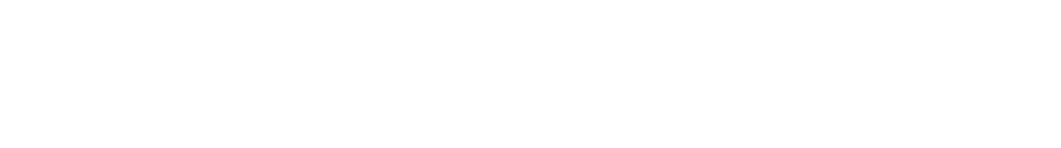 Boomstick Transport Logo